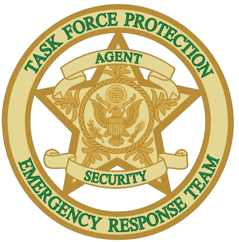 Task Force Protection badge